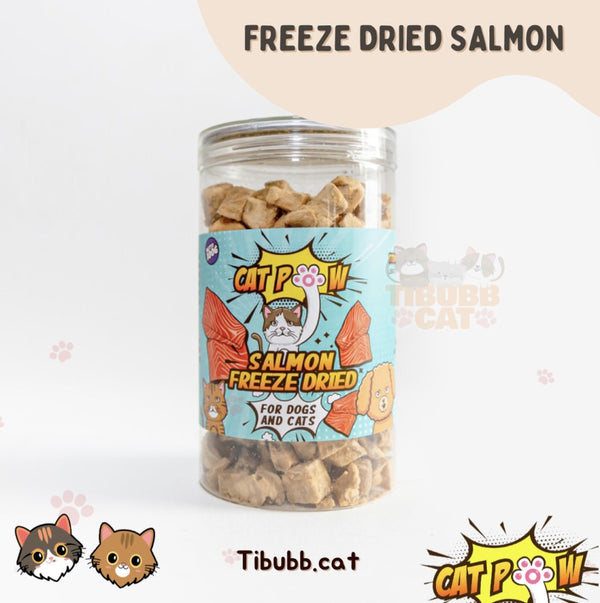 Freeze-Dried Salmon Dog and Cat Treats