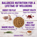 Complete Health Kitten Deboned Chicken & Chicken Meal Recipe Cat Food 5.5 lbs