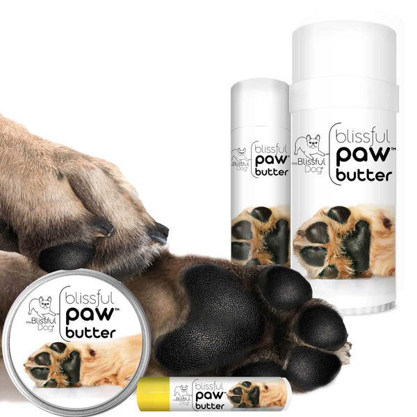 Paw Butter Moisturizes Rough Dry Paw Pads for Dogs