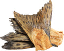 Salmon Tail Freeze Dried Dog Treat