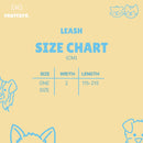 Hands Free Leash Set with Belt