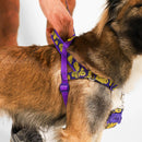 Zmiley Softer Walk Harness