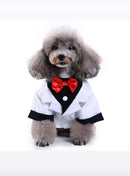 White Tuxedo For Pets