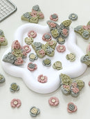 Spring Time Butterfly Cookies Treats for Dogs & Cats