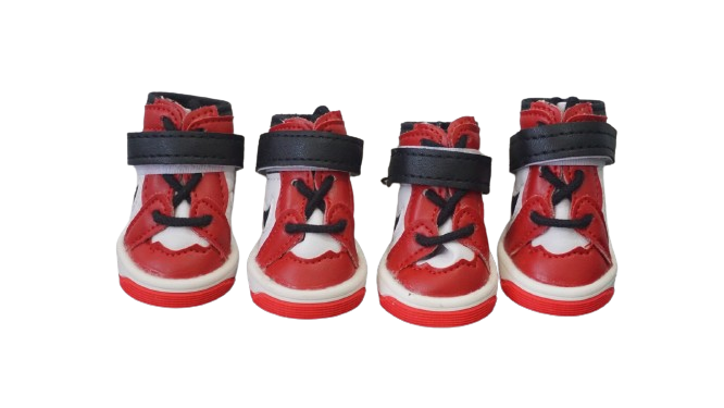 Puppy Jordans Air Jordan Dog Collar My New Puppy Dalmatian (Do Not