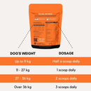 PetzPark Multivitamin with Turmeric For Dogs