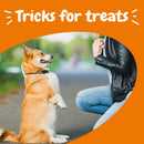 All in One Training Bites Peanut Butter Flavor Soft Chews For Dogs - Pouch