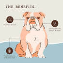 Premium Dental  Dog Chew Treats