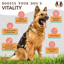 Coldwater Atlantic Salmon Oil For Dogs - 16oz
