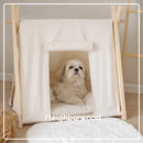 Pet Tent All Size For Dog & Cat