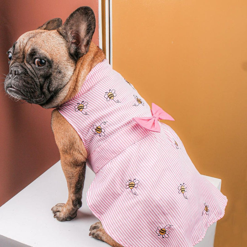 Poppy Dress Dog Cat Apparel