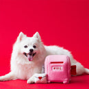Zippy Burrow - Mailbox And Love Letters Interactive Puzzle Dog Toy