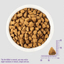 Wellness Simple Limited Ingredient Salmon & Potato Dry Dog Food