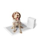 Essential Carbon Training Pads for Dog
