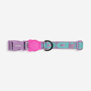 Aura Collar