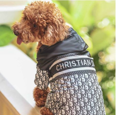 Chasetian Dogior Black Jacket Hoodie