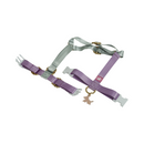 Bubble Gum H-Harness