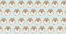 Choco Pomeranian Microfiber Pet Towel