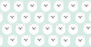 White Pomeranian Microfiber Pet Towel