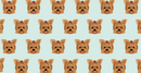 Yorkie Microfiber Pet Towel