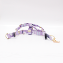 Dream Walk In Dog Harness