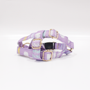 Dream Walk In Dog Harness