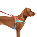 Mellow Softer Walk Harness