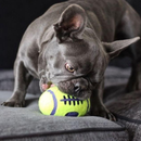KONG AirDog Squeaker Football Dog Toy - S