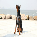 Air Fly Dog Harness