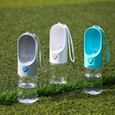 Eversweet Travel Drinking Bottle