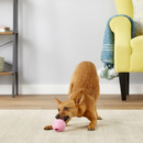 Puppy Ball Dog Toy