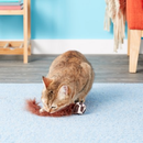 Wild Tails Cat Toy