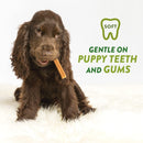 Daily Dental Puppy Chew Treats