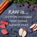 Raw Boost Grain Free Beef Recipe Dry Dog Food