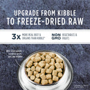 Raw Meals Freeze Dried Real Beef Recipe Dry Dog Food - 9.5oz