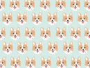 Corgy Pet Blanket