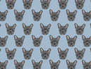Frenchie Pet Blanket