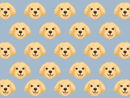 Golden Pet Blanket