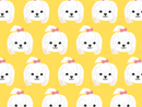Shihtzu Pet Blanket