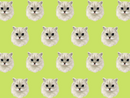 White Cat Pet Blanket
