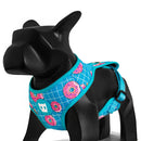 Homer Air Mesh Plus Harness