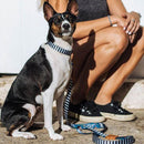 Mango Leash