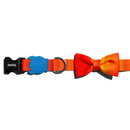 Gradients Solaris Bowtie