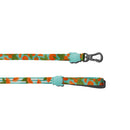Florida Leash