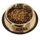 Puppy Large Breed Dry Dog Food