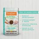 Be Natural Real Chicken & Brown Rice Recipe for Puppy Dry Dog food