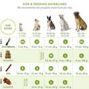 Alligator Dental Dog Chew Treats