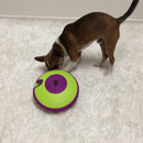 Outward Hound Dog Treat Maze Dog Toys
