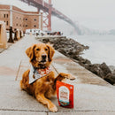 Raw Coated Biscuits Grass-Fed Lamb Recipe Dog Treats