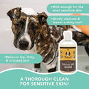 Oatmeal Sensitive Skin Shampoo